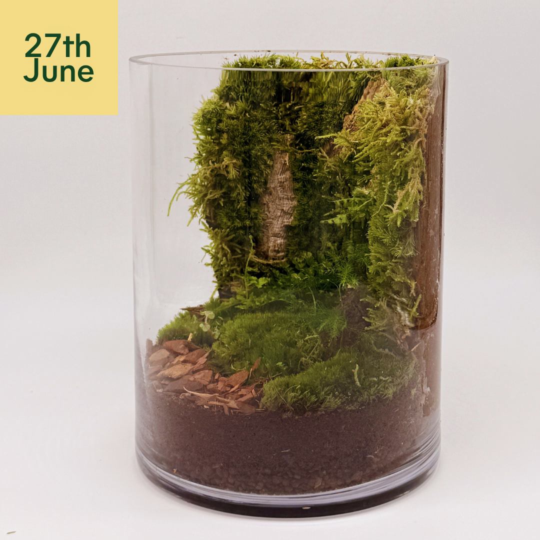 Moss Wall Terrarium Workshop