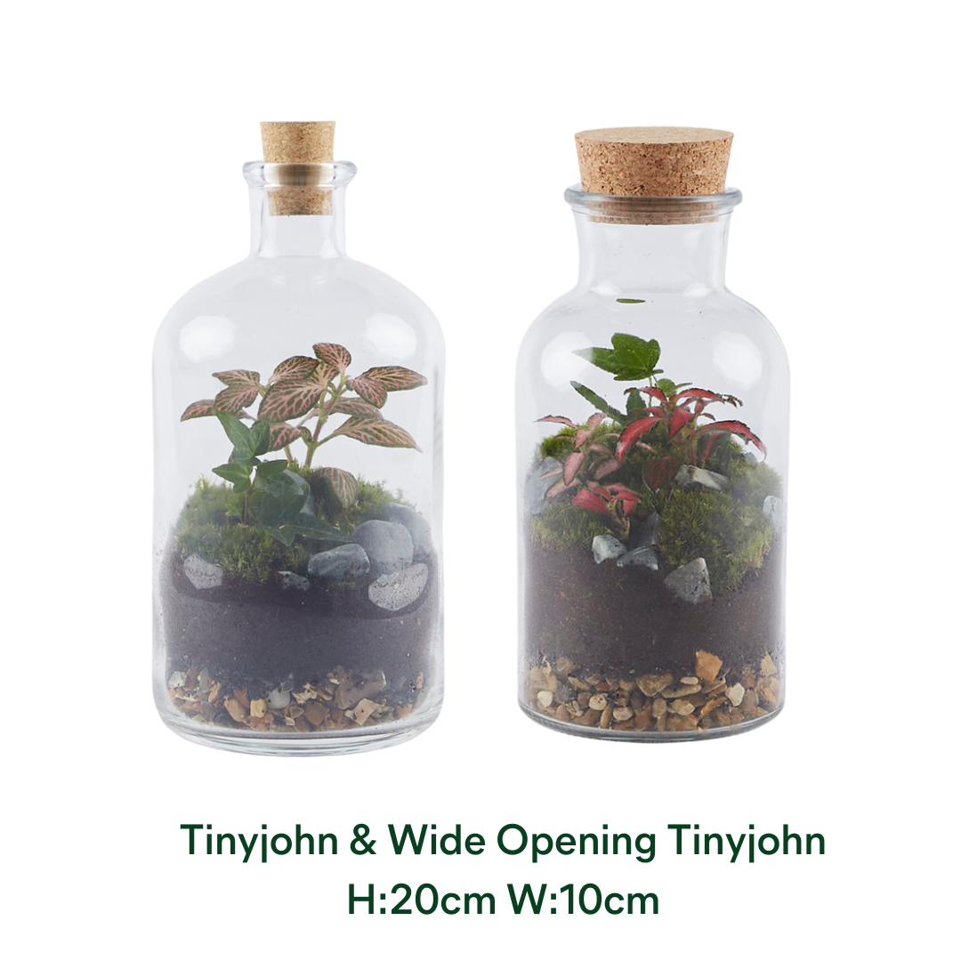 Terrarium Workshop